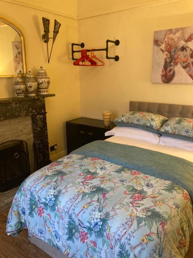 Mountroyal Victorian Studio Self Catering Apartment 3 Белфаст Экстерьер фото