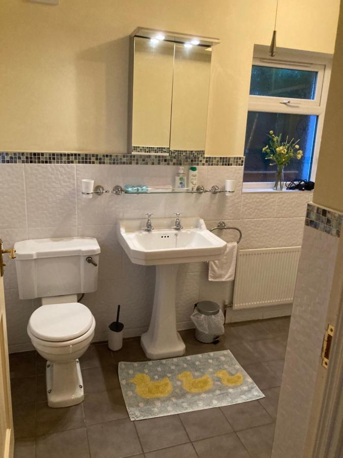 Mountroyal Victorian Studio Self Catering Apartment 3 Белфаст Экстерьер фото