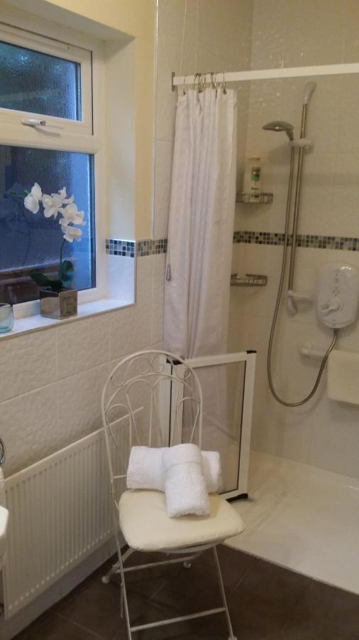 Mountroyal Victorian Studio Self Catering Apartment 3 Белфаст Экстерьер фото